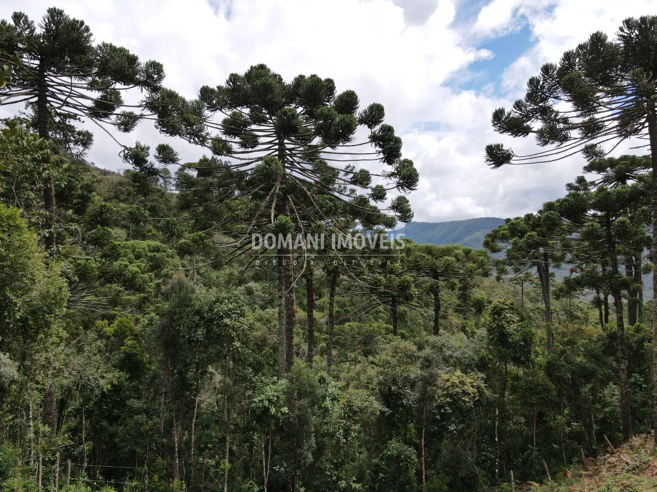 Terreno à venda de 1.010 m² em Campos do Jordão, SP, Brasil