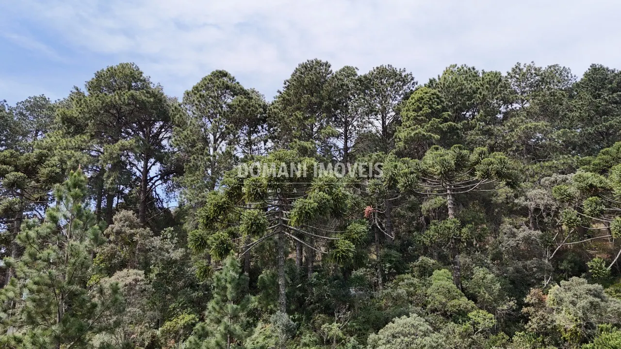 Terreno à venda de 1.060 m² em Campos do Jordão, SP, Brasil