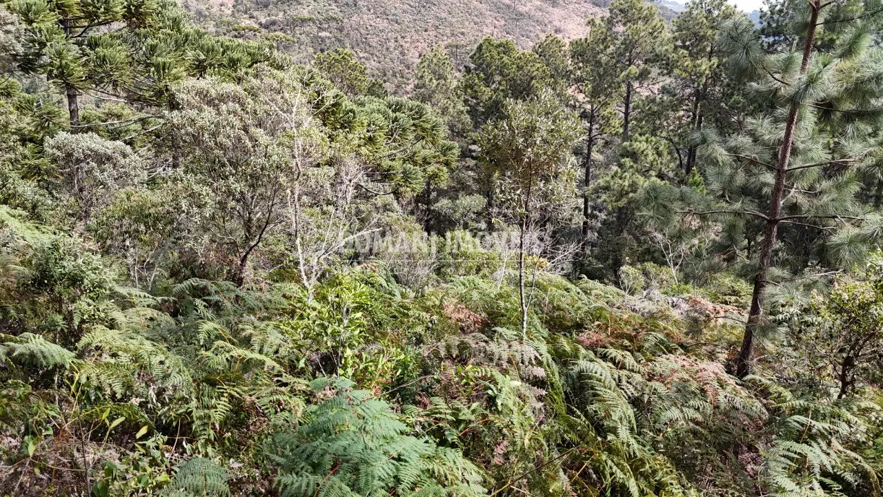 Terreno à venda de 1.060 m² em Campos do Jordão, SP, Brasil