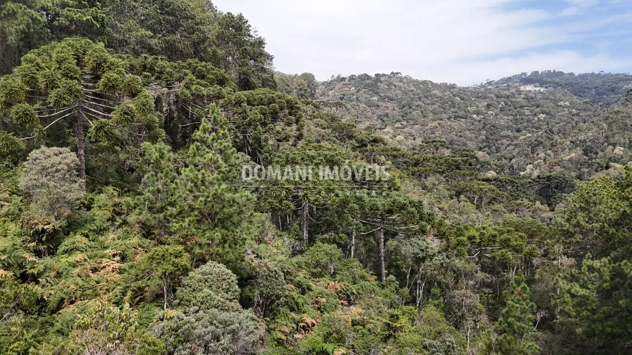Terreno à venda de 1.060 m² em Campos do Jordão, SP, Brasil