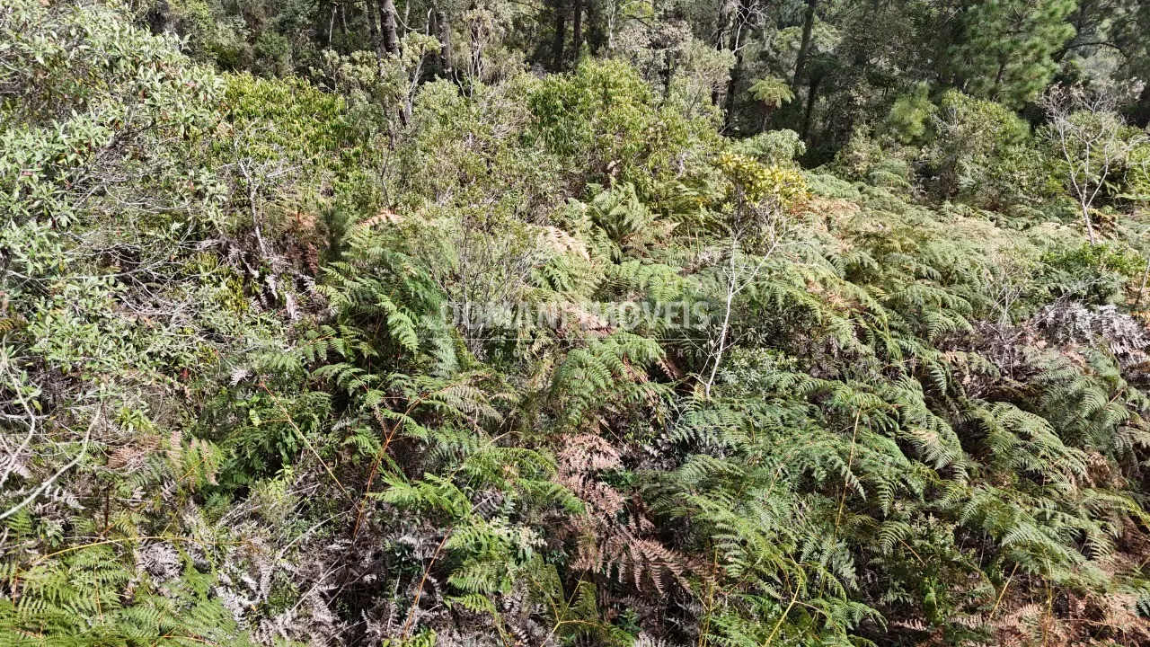 Terreno à venda de 1.060 m² em Campos do Jordão, SP, Brasil