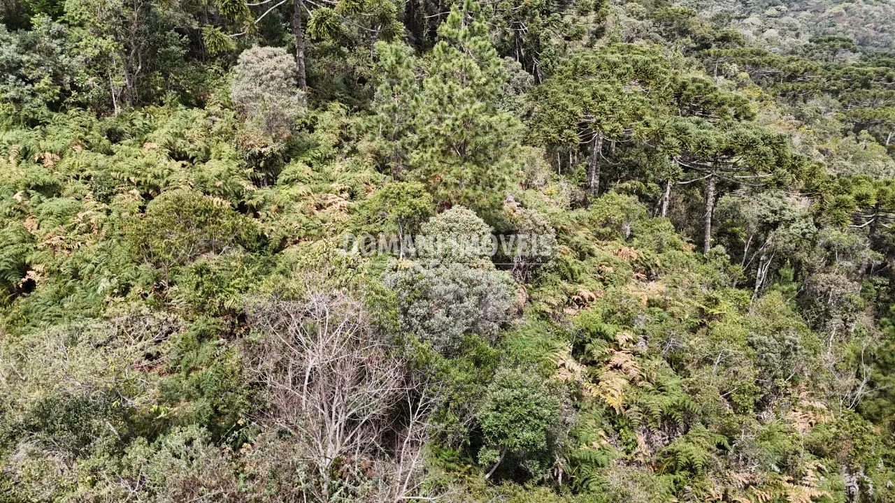 Terreno à venda de 1.060 m² em Campos do Jordão, SP, Brasil
