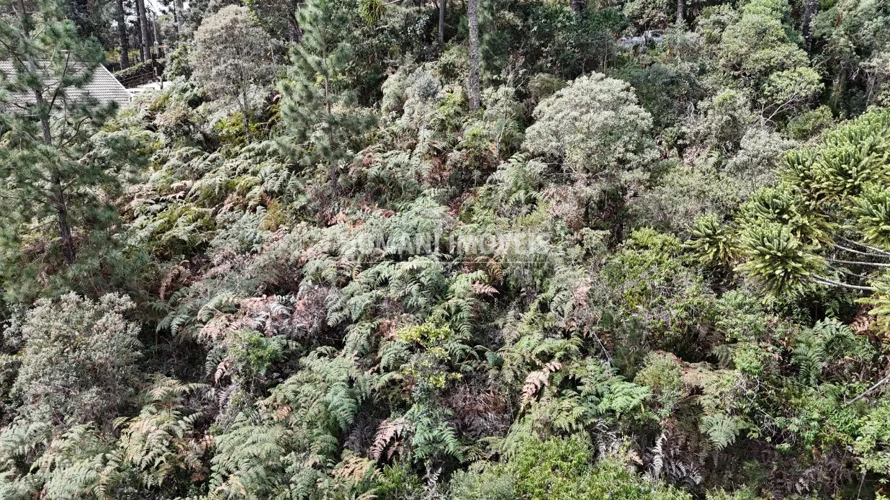 Terreno à venda de 1.060 m² em Campos do Jordão, SP, Brasil