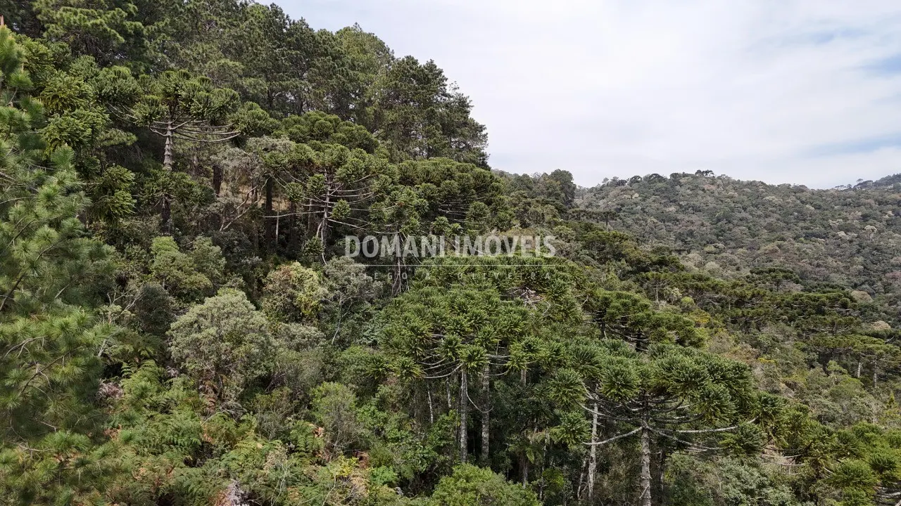 Terreno à venda de 1.060 m² em Campos do Jordão, SP, Brasil