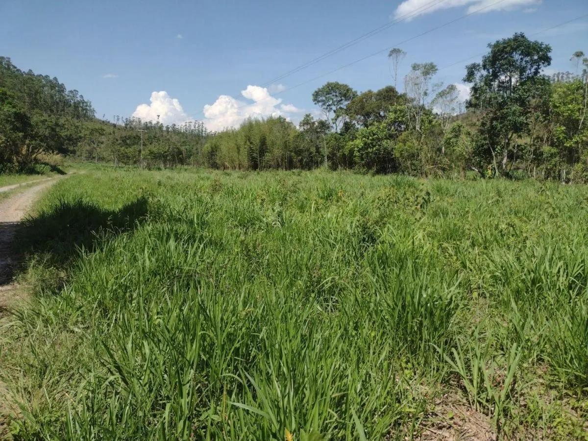 Fazenda à venda de 150 ha em Guaratinguetá, SP, Brasil