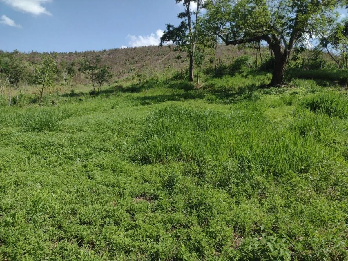 Fazenda à venda de 150 ha em Guaratinguetá, SP, Brasil