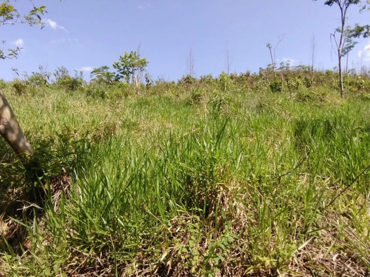 Fazenda à venda de 150 ha em Guaratinguetá, SP, Brasil