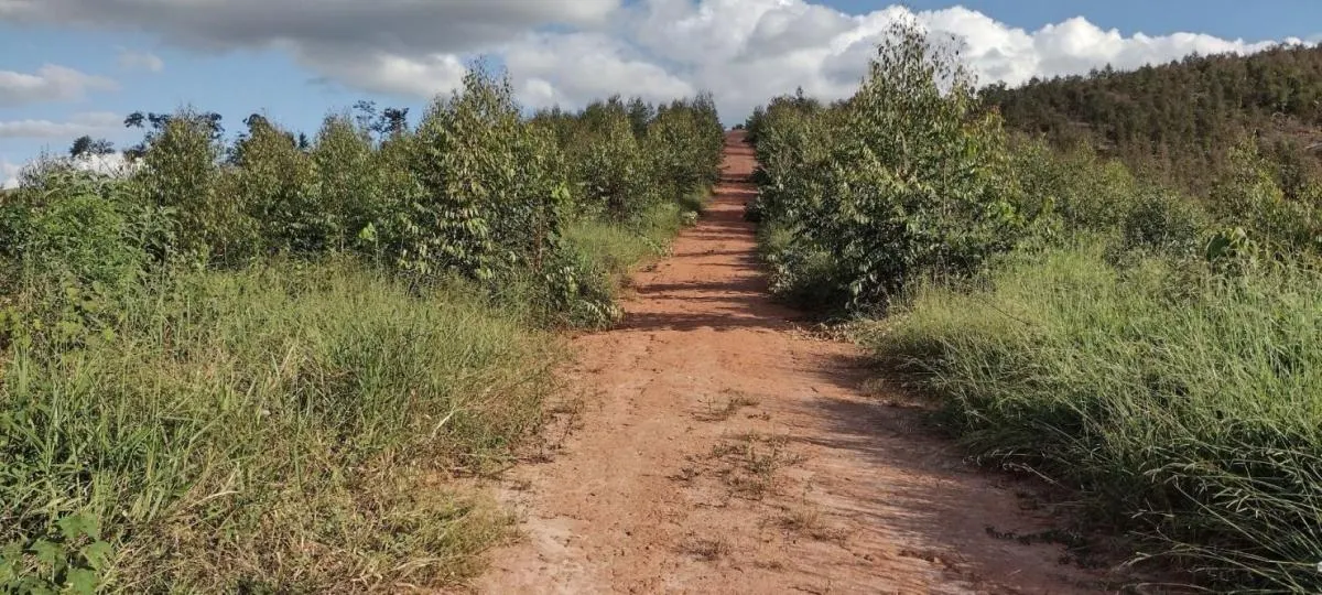 Fazenda à venda de 150 ha em Guaratinguetá, SP, Brasil