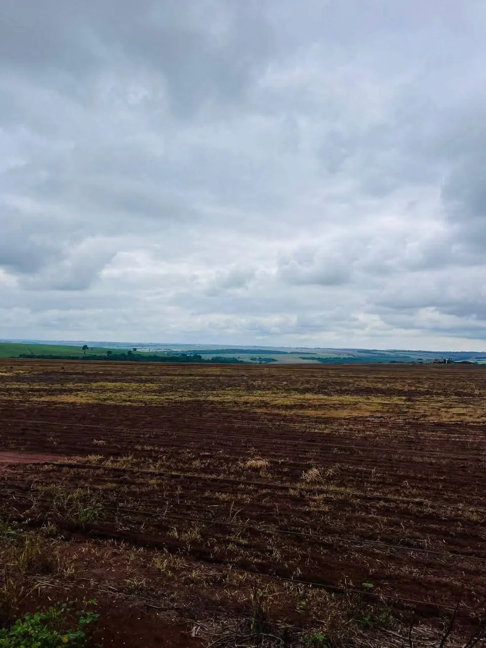 Fazenda à venda de 278 ha em Santa Cruz do Rio Pardo, SP, Brasil
