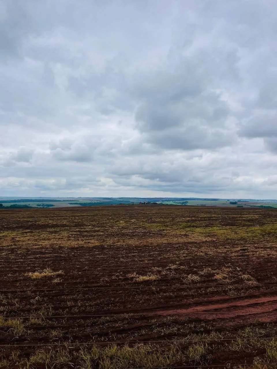 Fazenda à venda de 278 ha em Santa Cruz do Rio Pardo, SP, Brasil