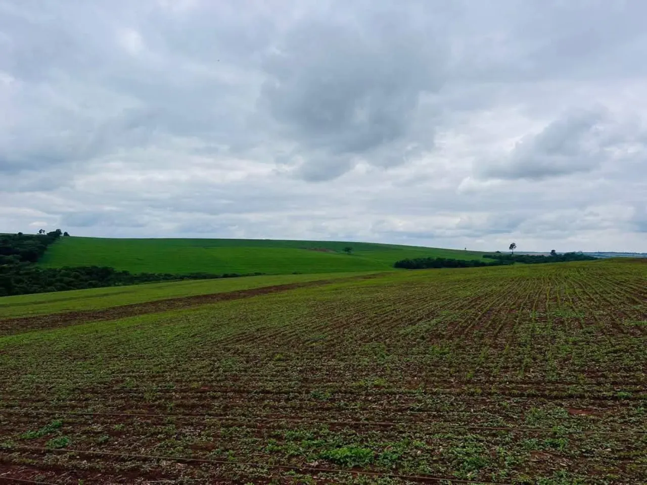 Fazenda à venda de 278 ha em Santa Cruz do Rio Pardo, SP, Brasil