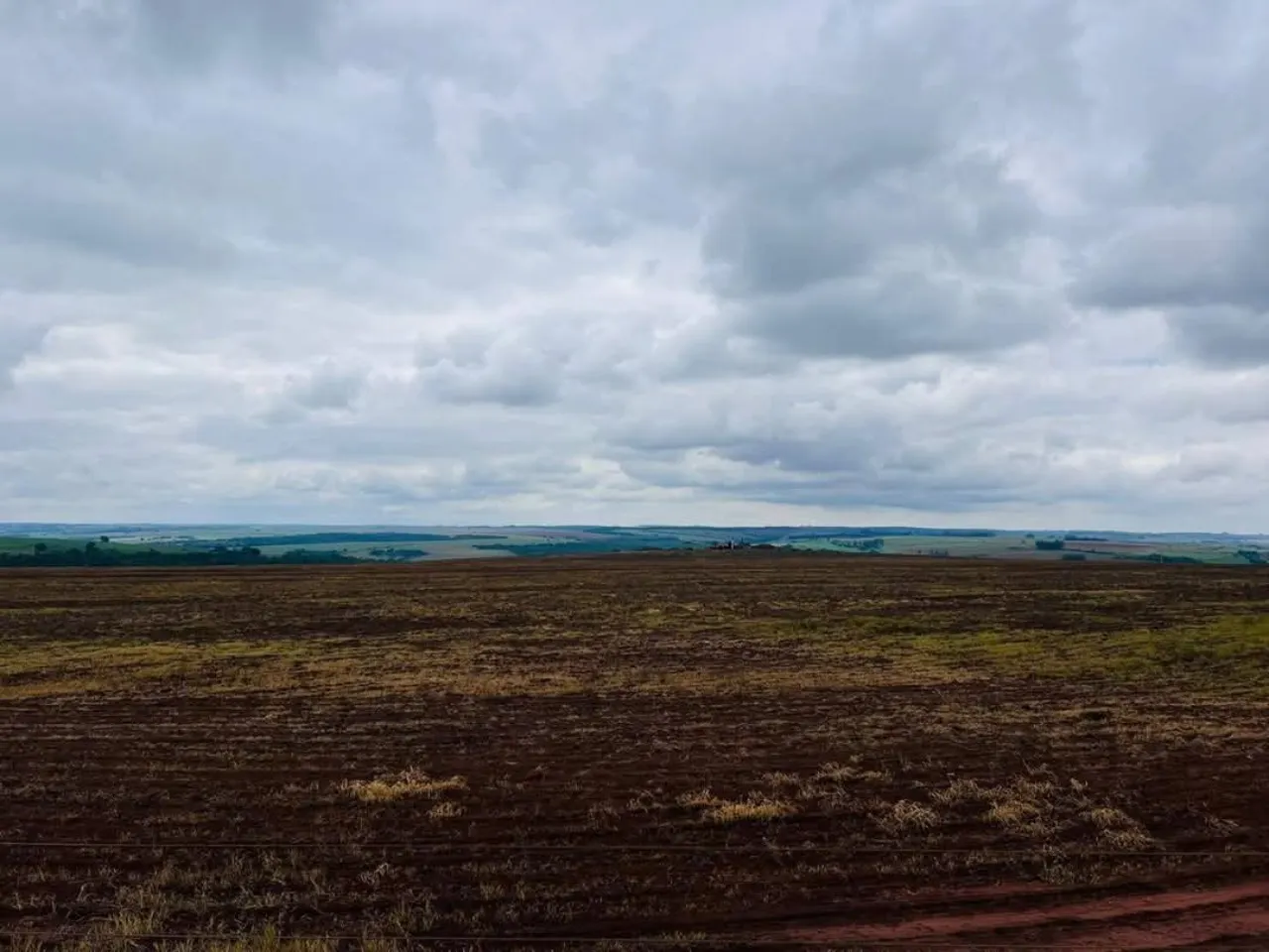 Fazenda à venda de 278 ha em Santa Cruz do Rio Pardo, SP, Brasil