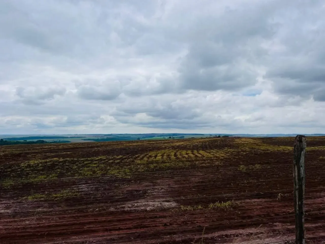 Fazenda à venda de 278 ha em Santa Cruz do Rio Pardo, SP, Brasil