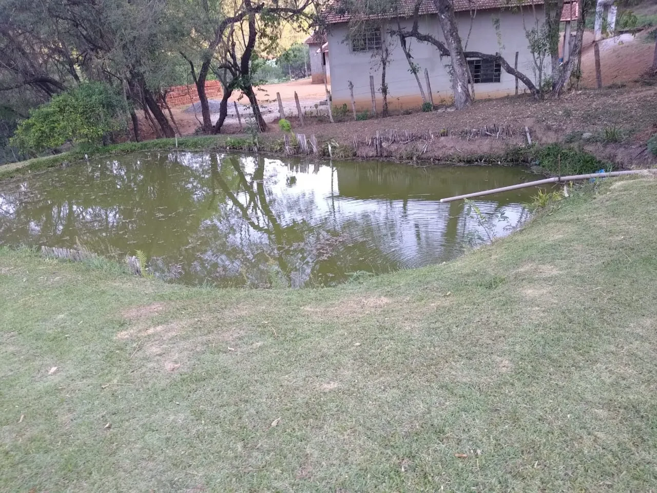 Chácara à venda e para Arrendar de 1 ha em Bragança Paulista, SP, Brasil