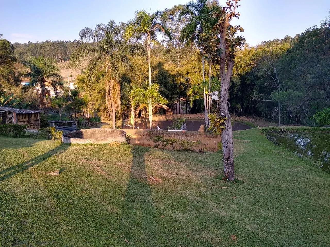 Chácara à venda e para Arrendar de 1 ha em Bragança Paulista, SP, Brasil