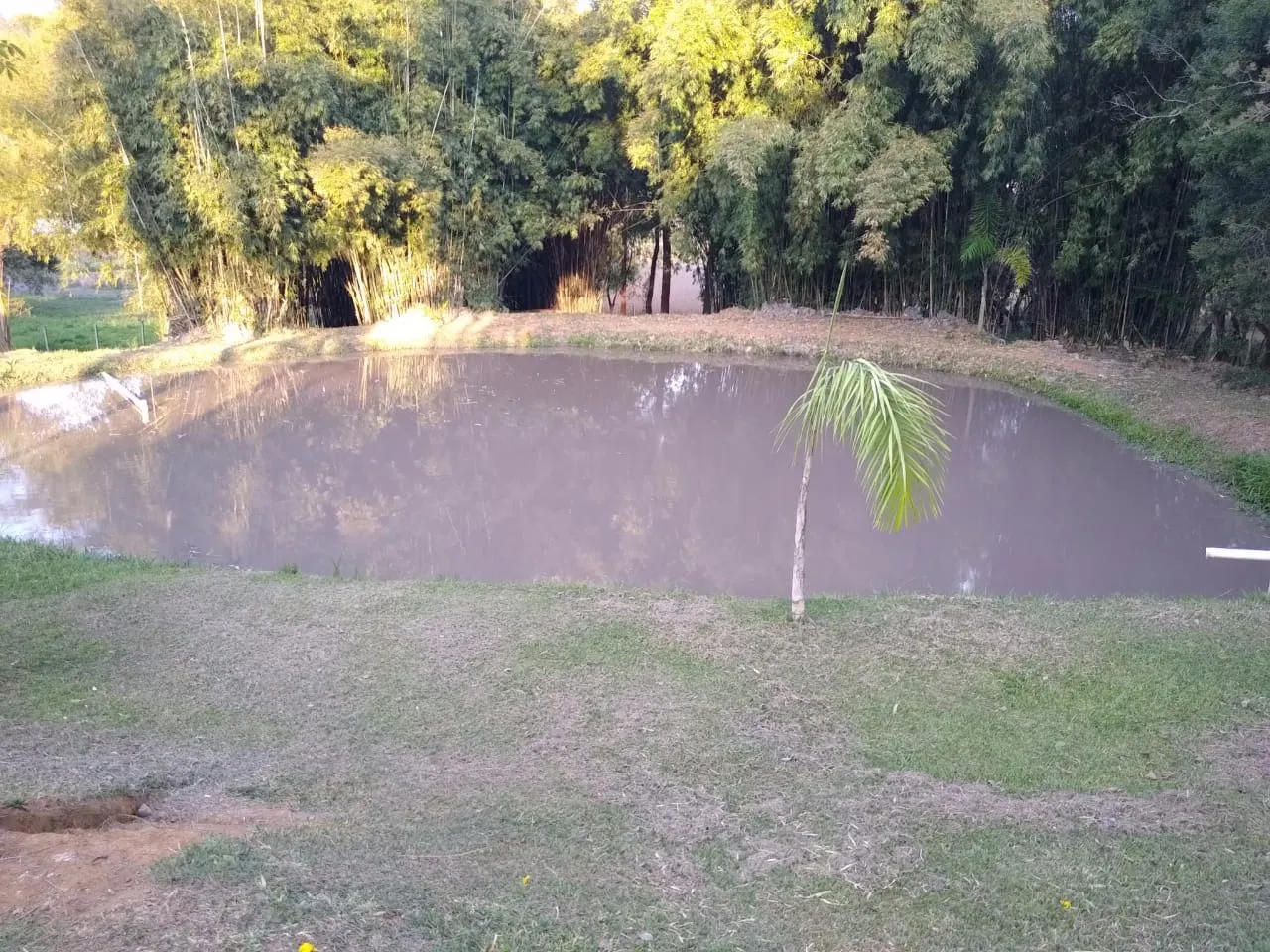 Chácara à venda e para Arrendar de 1 ha em Bragança Paulista, SP, Brasil