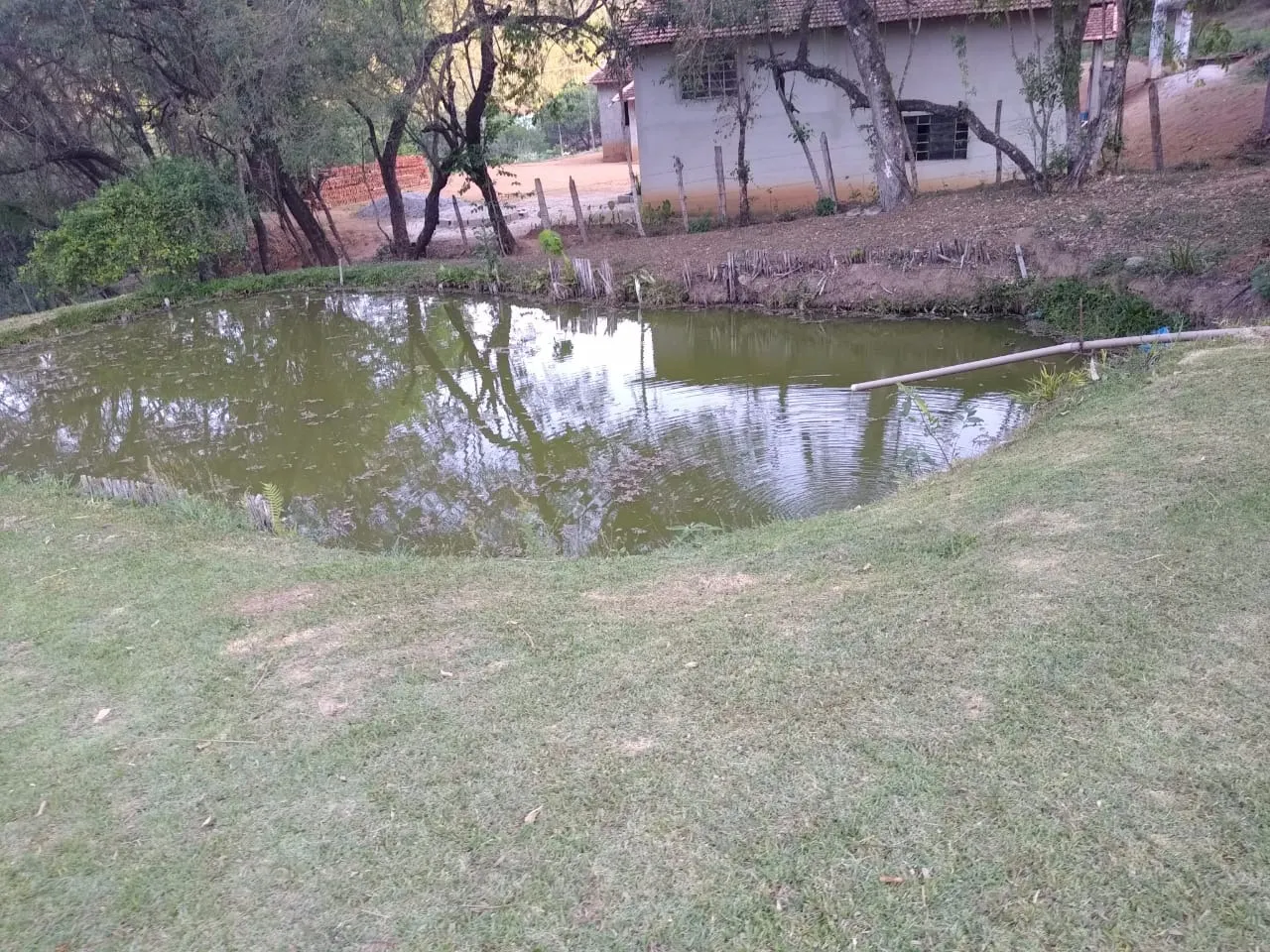Chácara à venda e para Arrendar de 1 ha em Bragança Paulista, SP, Brasil
