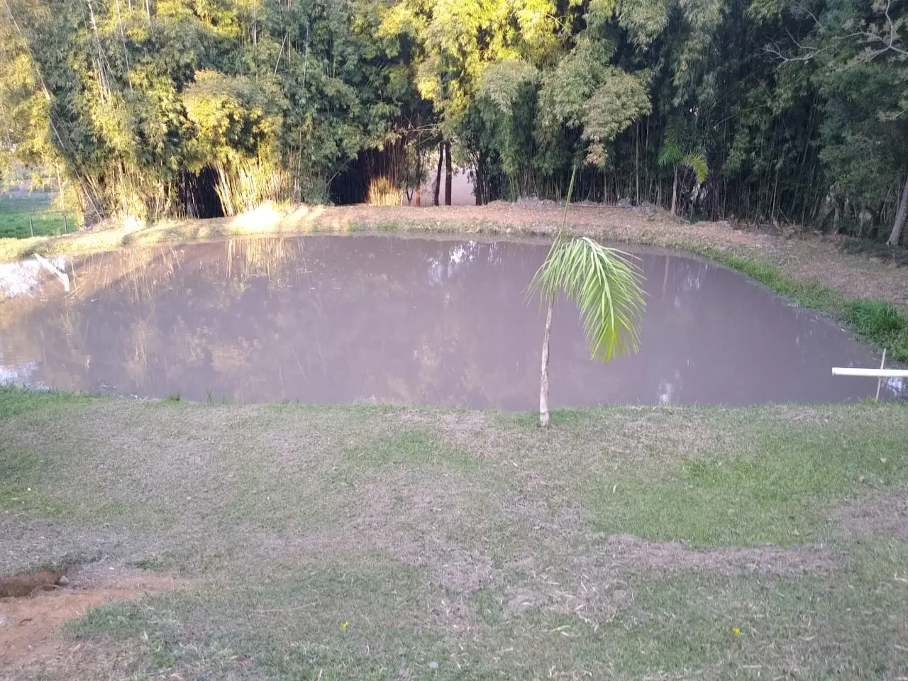 Chácara à venda e para Arrendar de 1 ha em Bragança Paulista, SP, Brasil