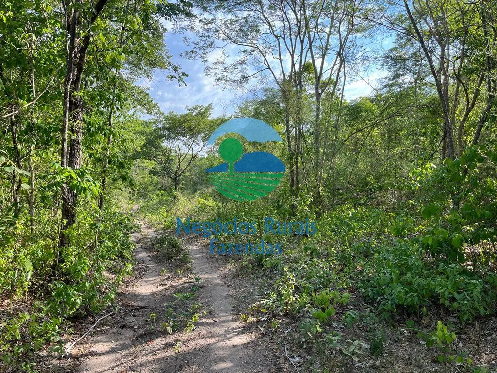 Fazenda à venda de 484 ha em Jaú do Tocantins, TO, Brasil