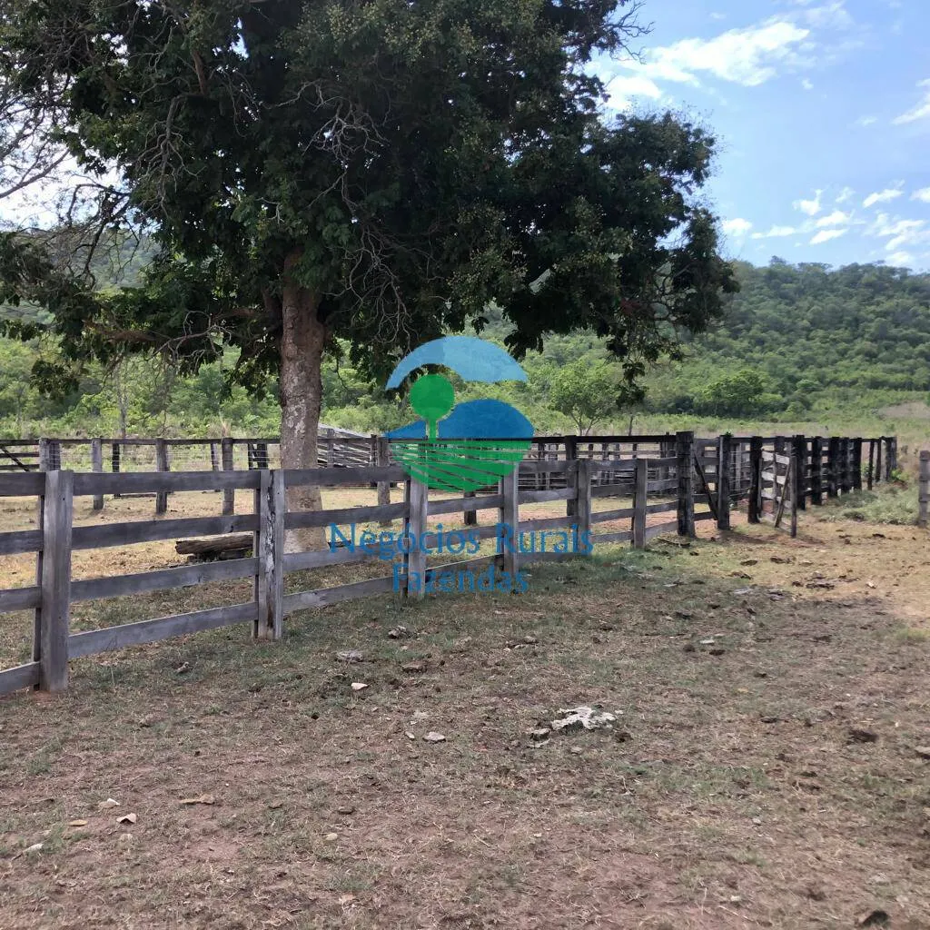 Fazenda à venda de 484 ha em Jaú do Tocantins, TO, Brasil