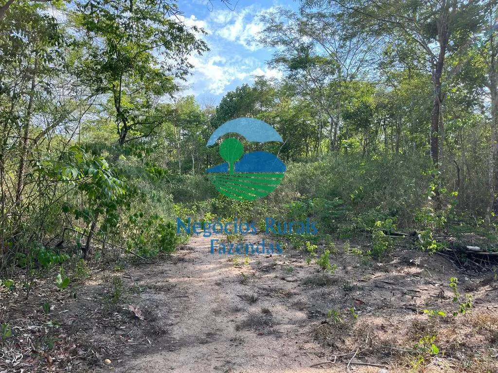 Fazenda à venda de 484 ha em Jaú do Tocantins, TO, Brasil