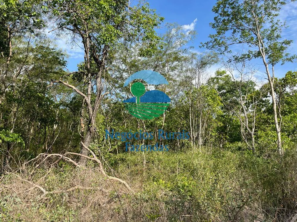 Fazenda à venda de 484 ha em Jaú do Tocantins, TO, Brasil