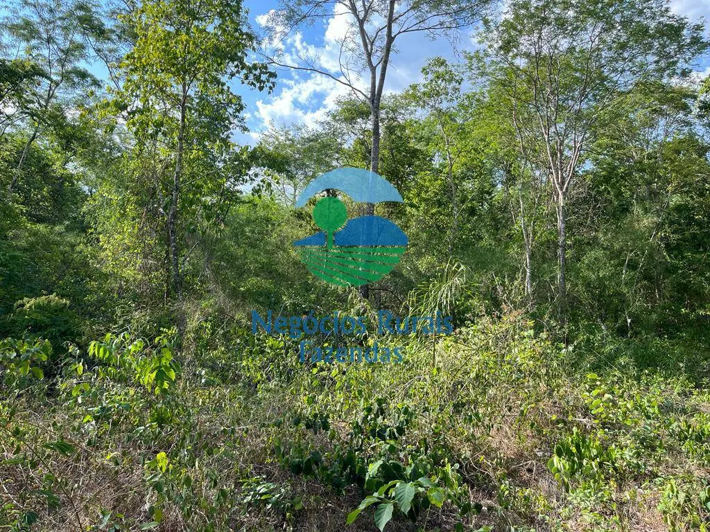 Fazenda à venda de 484 ha em Jaú do Tocantins, TO, Brasil