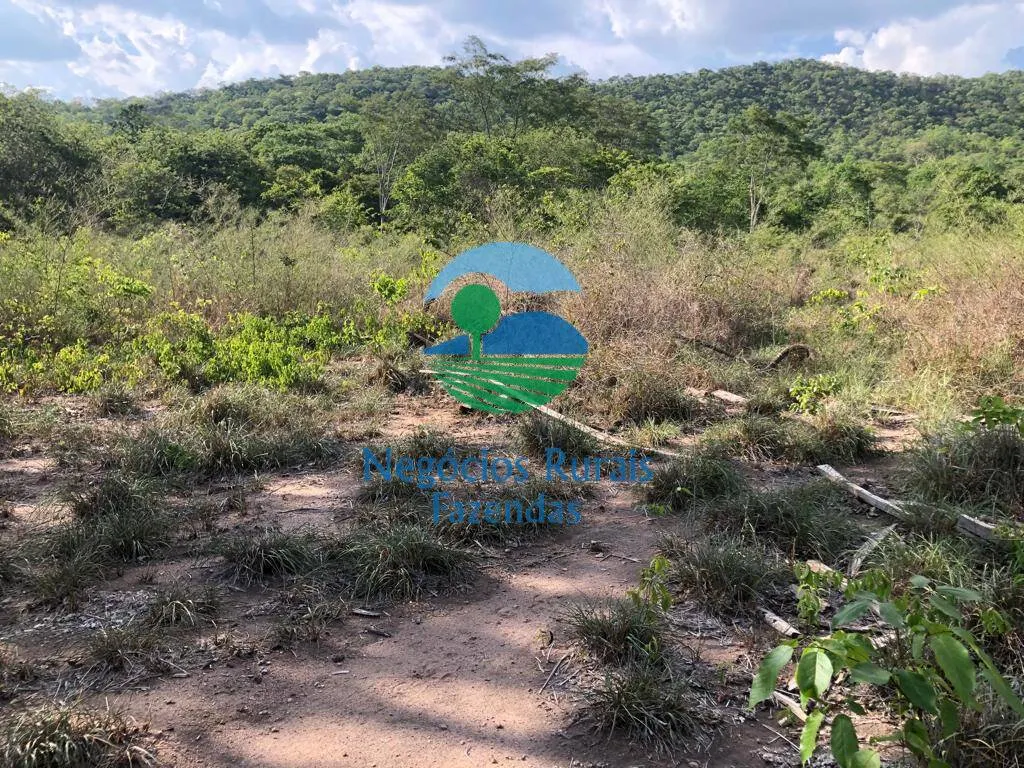 Fazenda à venda de 484 ha em Jaú do Tocantins, TO, Brasil