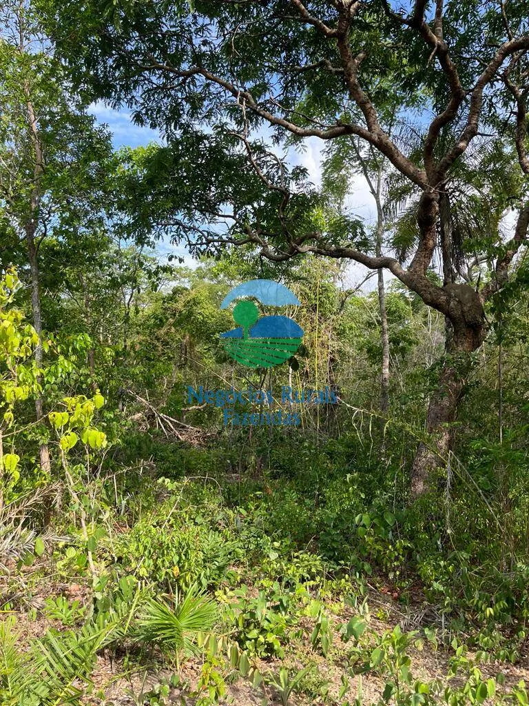 Fazenda à venda de 484 ha em Jaú do Tocantins, TO, Brasil
