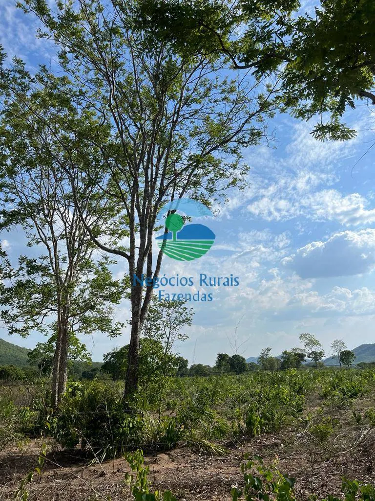 Fazenda à venda de 484 ha em Jaú do Tocantins, TO, Brasil