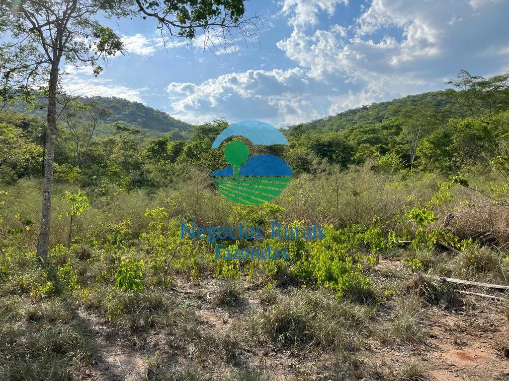 Fazenda à venda de 484 ha em Jaú do Tocantins, TO, Brasil