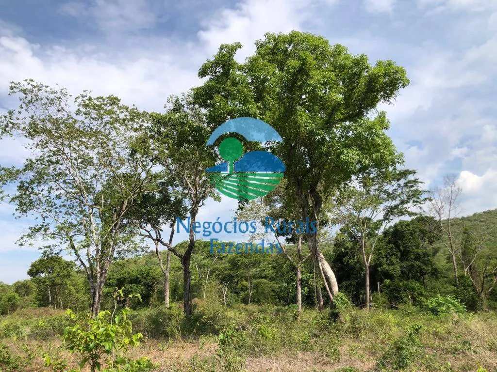 Fazenda à venda de 484 ha em Jaú do Tocantins, TO, Brasil