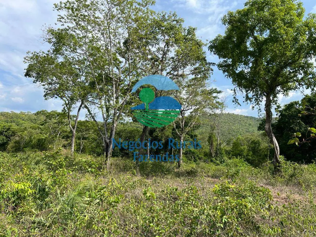 Fazenda à venda de 484 ha em Jaú do Tocantins, TO, Brasil