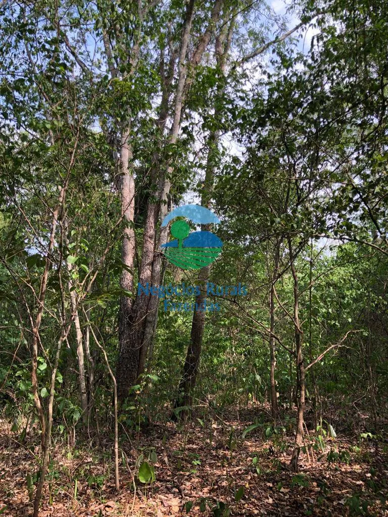 Fazenda à venda de 484 ha em Jaú do Tocantins, TO, Brasil