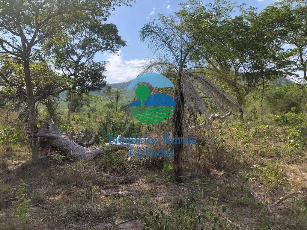 Fazenda à venda de 484 ha em Jaú do Tocantins, TO, Brasil