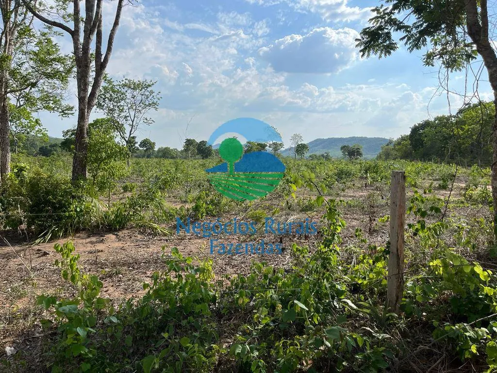 Fazenda à venda de 484 ha em Jaú do Tocantins, TO, Brasil