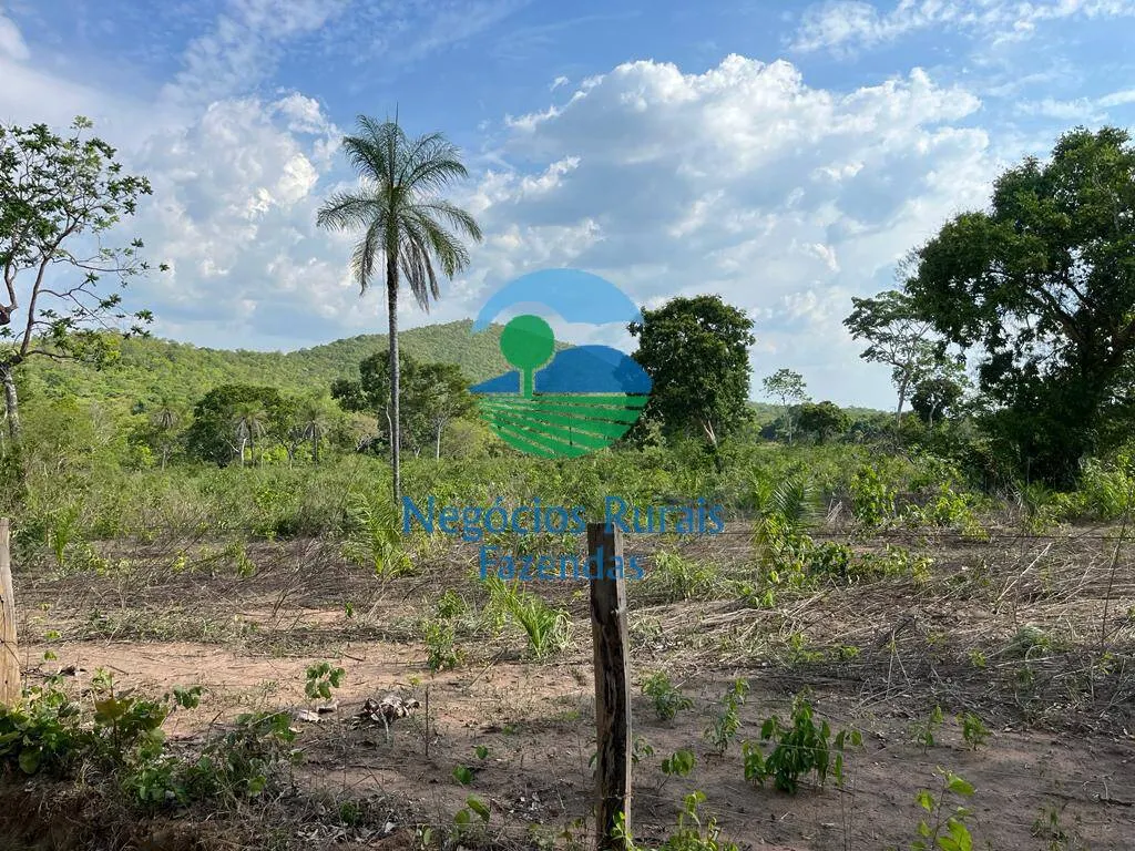 Fazenda à venda de 484 ha em Jaú do Tocantins, TO, Brasil