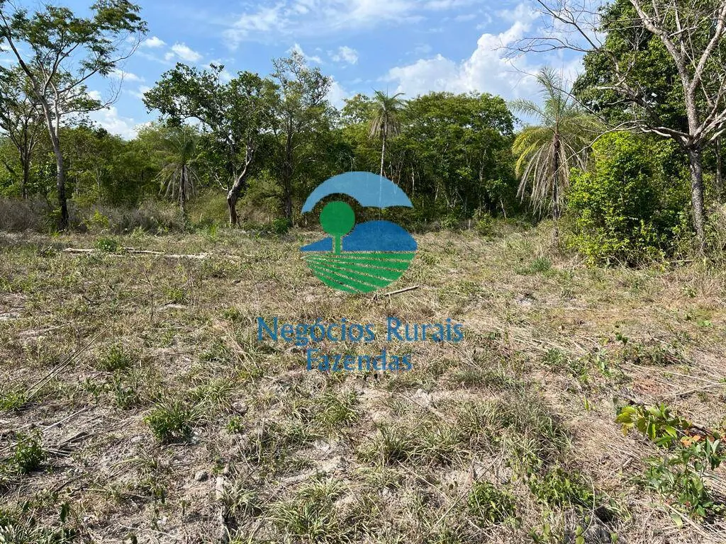 Fazenda à venda de 484 ha em Jaú do Tocantins, TO, Brasil