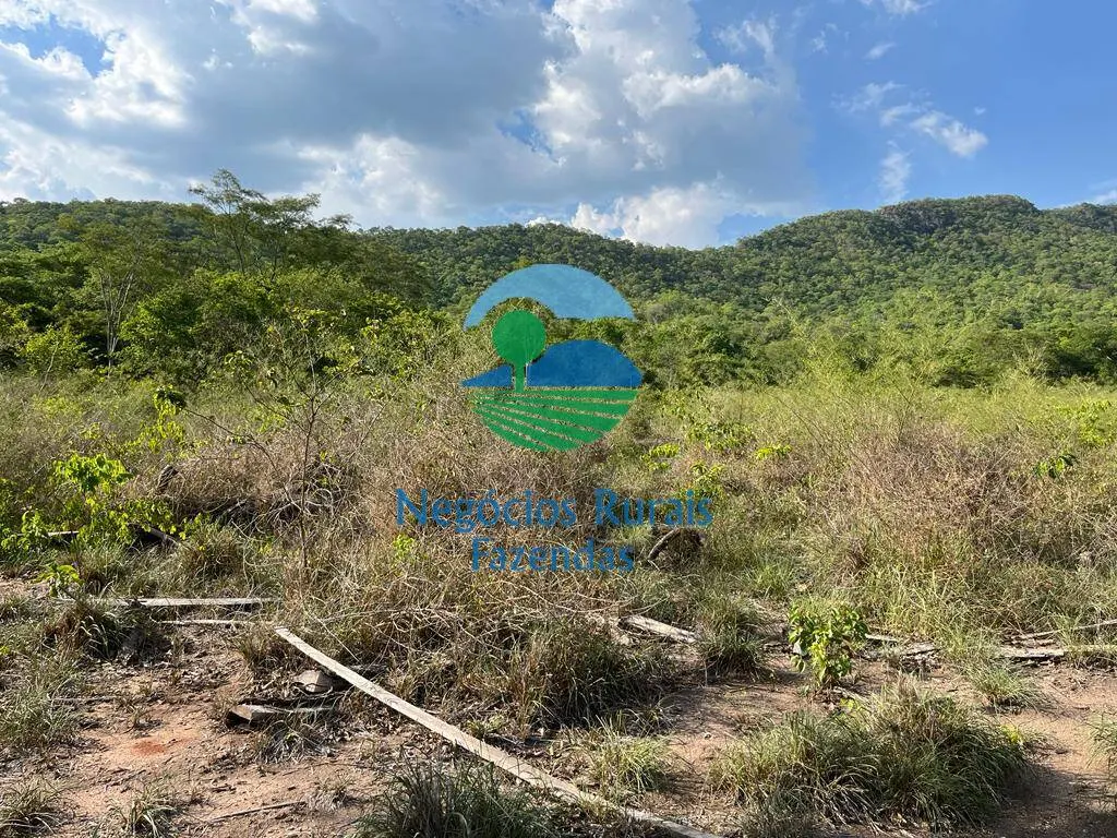 Fazenda à venda de 484 ha em Jaú do Tocantins, TO, Brasil