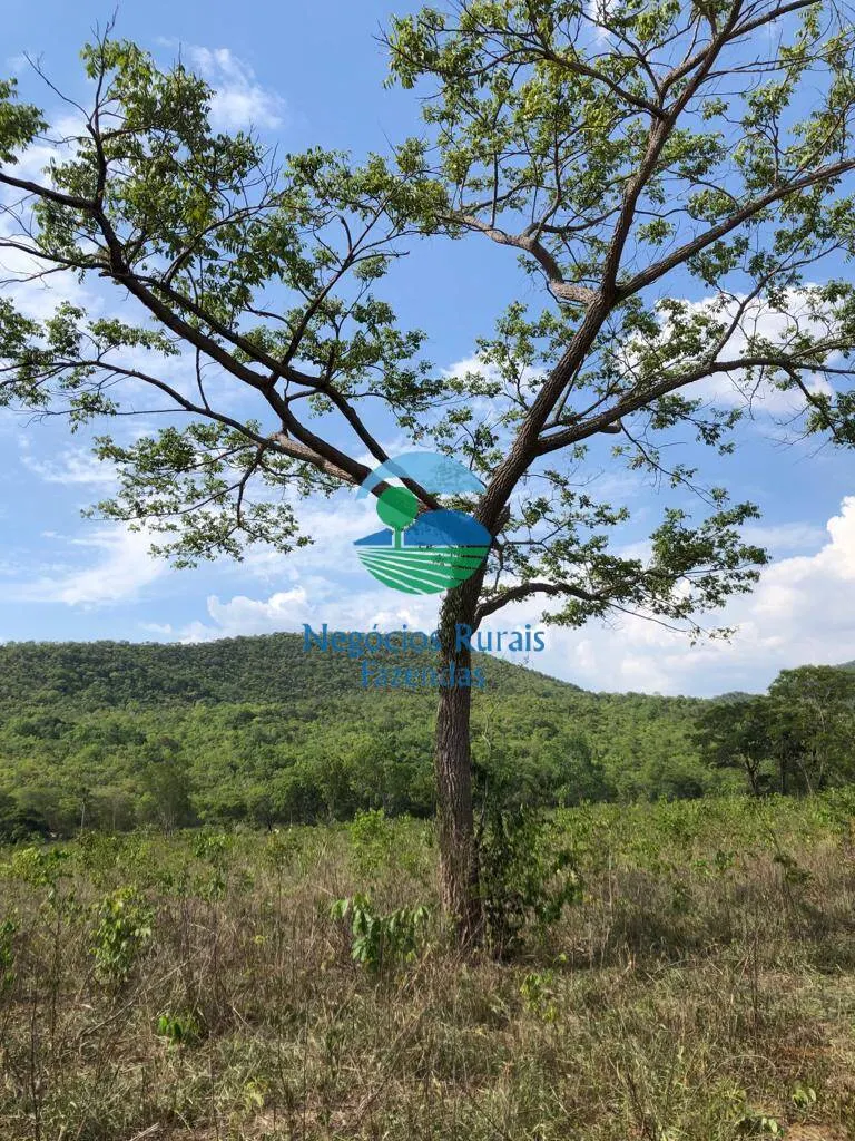 Fazenda à venda de 484 ha em Jaú do Tocantins, TO, Brasil