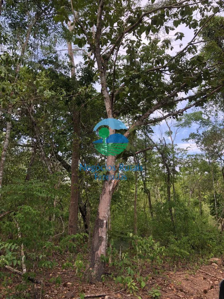 Fazenda à venda de 484 ha em Jaú do Tocantins, TO, Brasil
