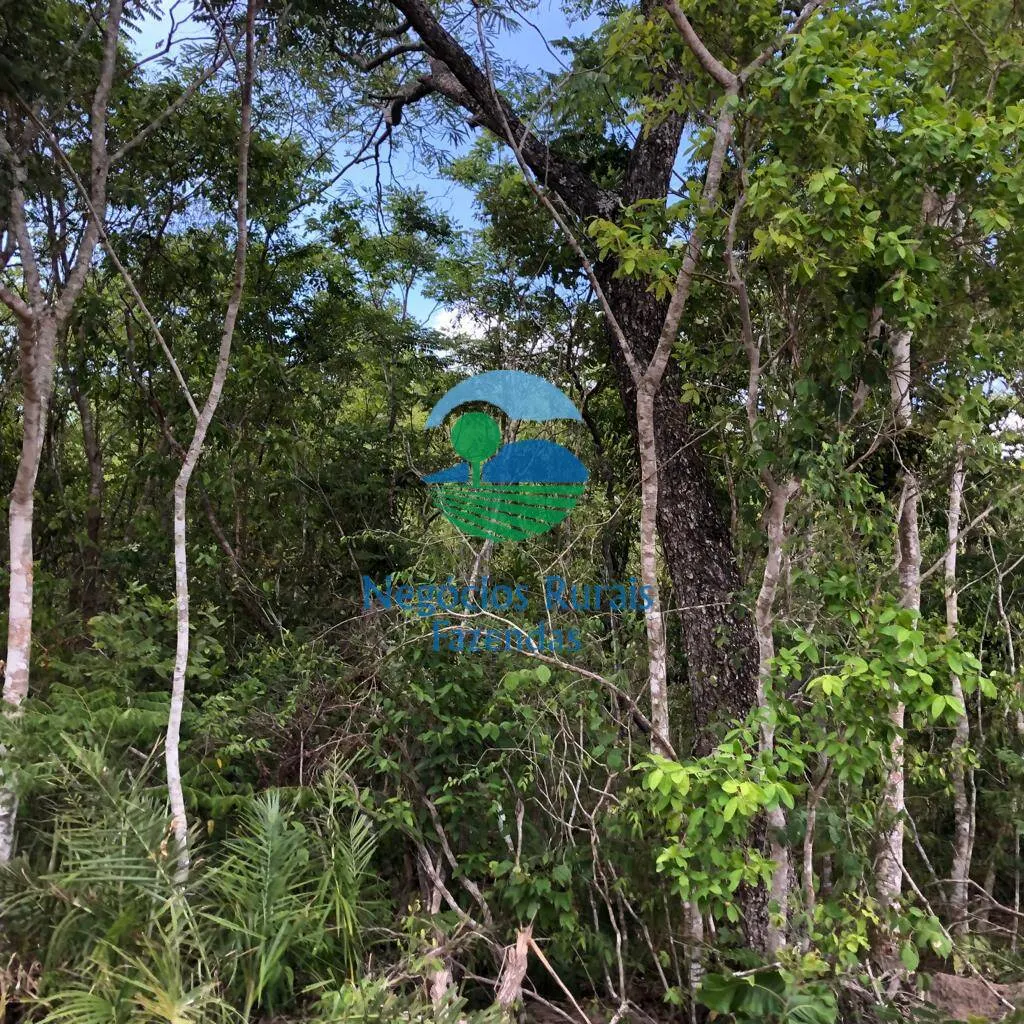 Fazenda à venda de 484 ha em Jaú do Tocantins, TO, Brasil