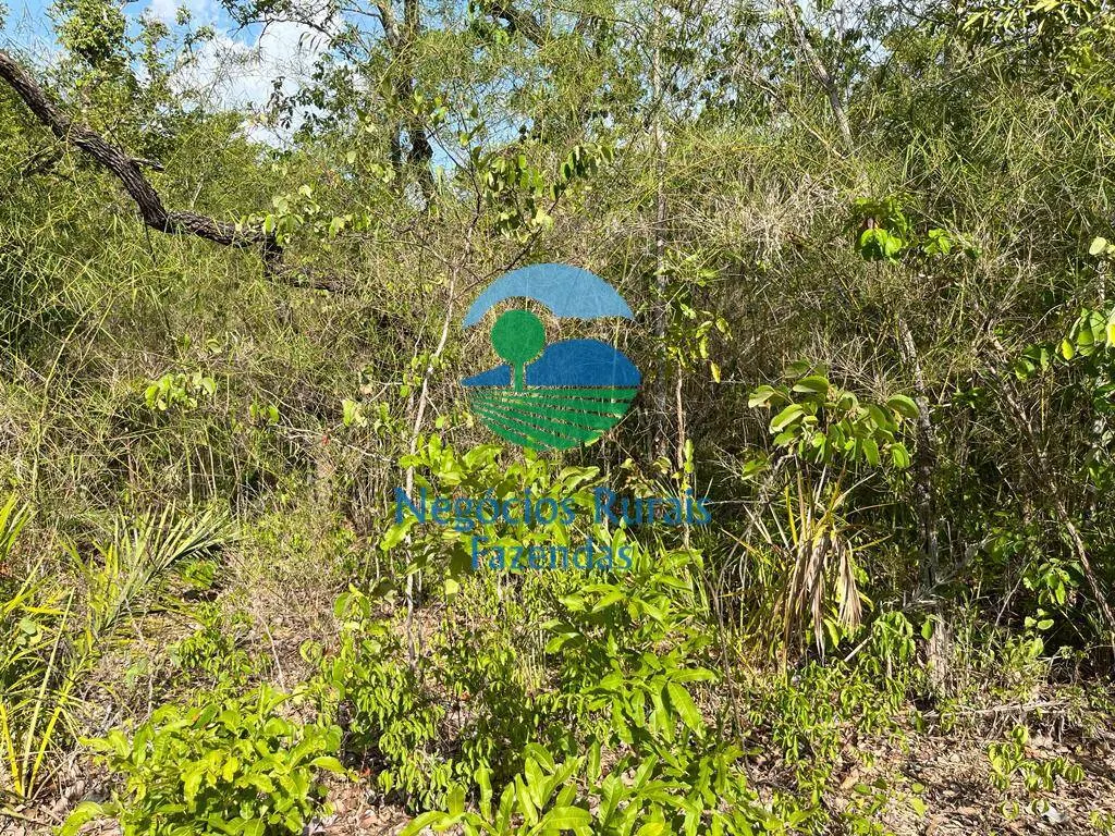 Fazenda à venda de 484 ha em Jaú do Tocantins, TO, Brasil