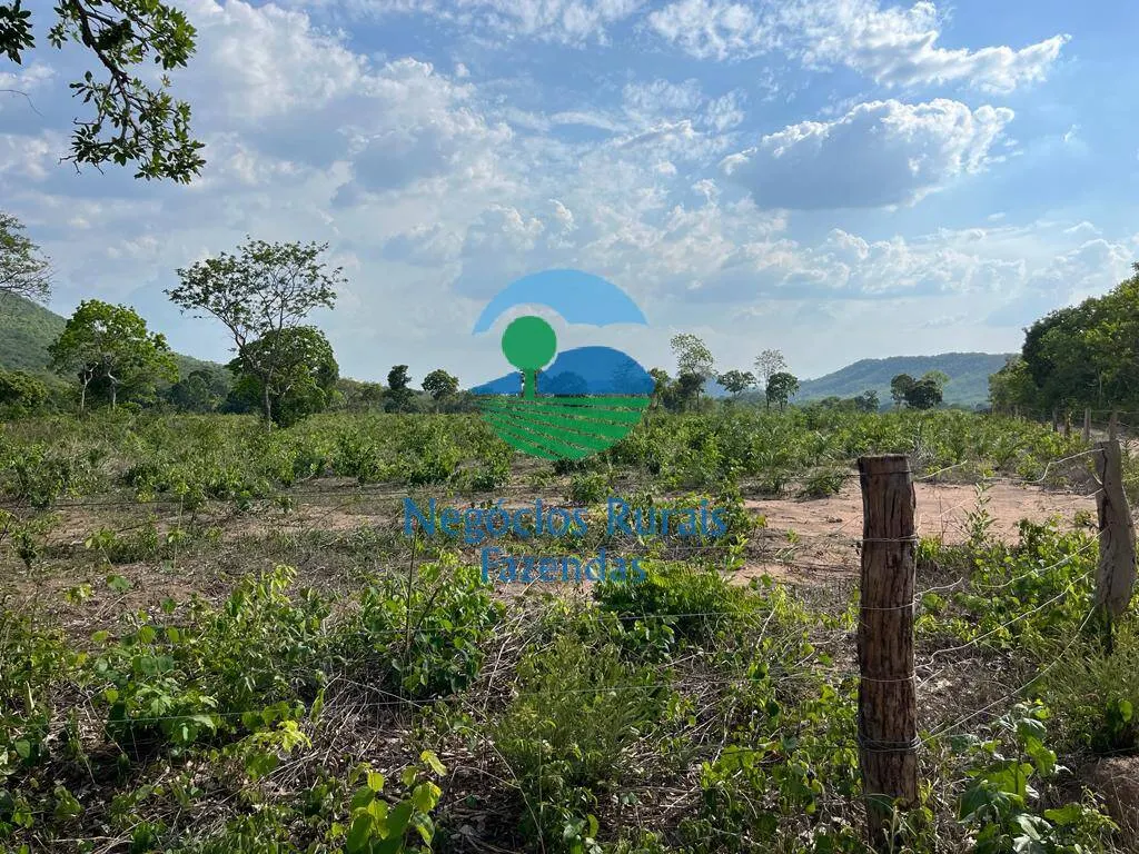 Fazenda à venda de 484 ha em Jaú do Tocantins, TO, Brasil