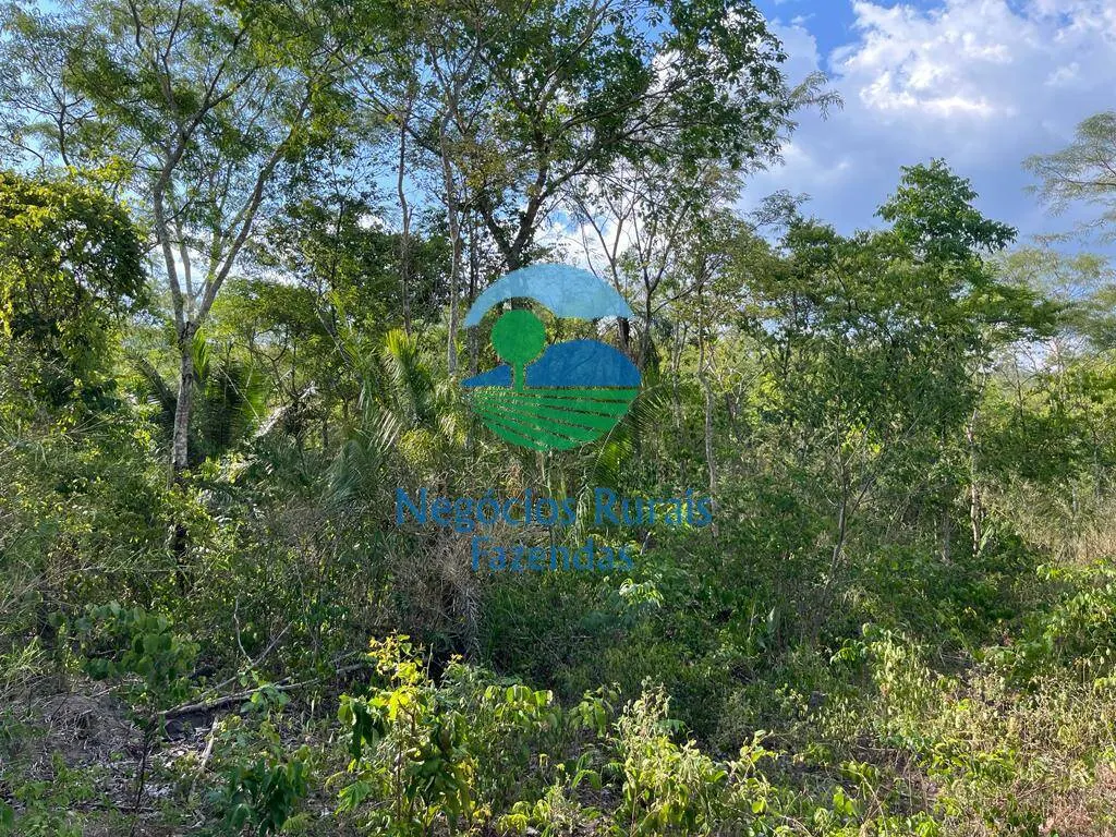 Fazenda à venda de 484 ha em Jaú do Tocantins, TO, Brasil