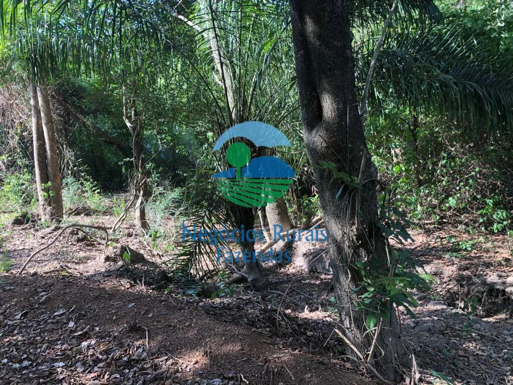 Fazenda à venda de 484 ha em Jaú do Tocantins, TO, Brasil
