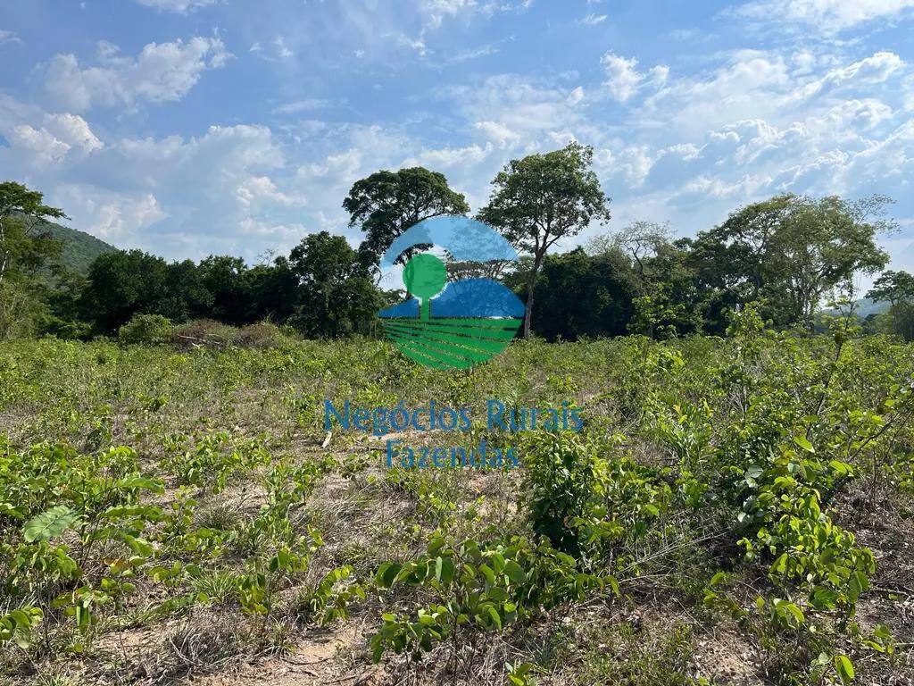 Fazenda à venda de 484 ha em Jaú do Tocantins, TO, Brasil