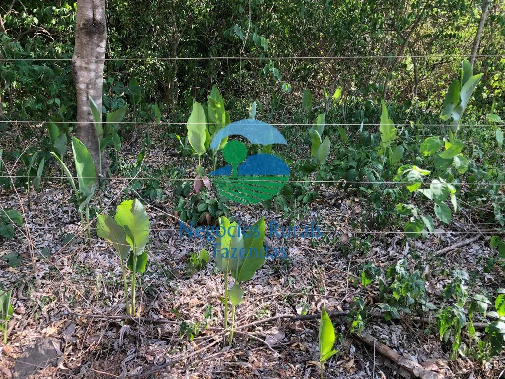 Fazenda à venda de 484 ha em Jaú do Tocantins, TO, Brasil