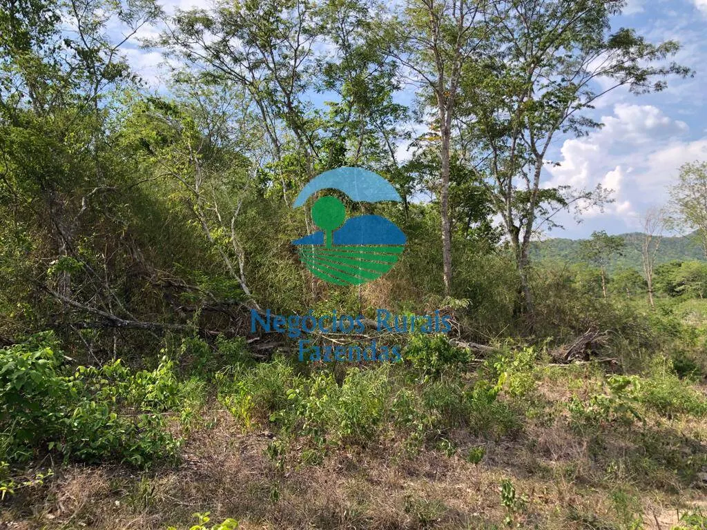 Fazenda à venda de 484 ha em Jaú do Tocantins, TO, Brasil