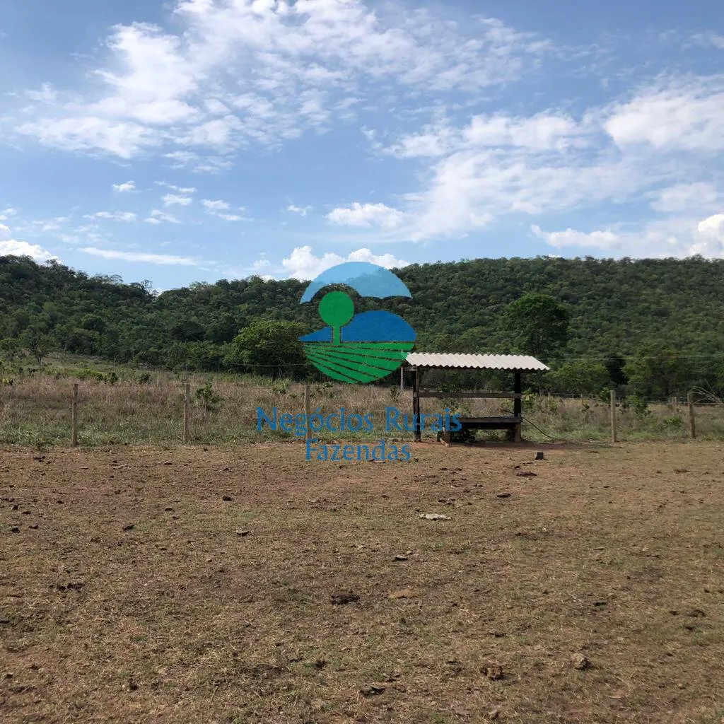 Fazenda à venda de 484 ha em Jaú do Tocantins, TO, Brasil